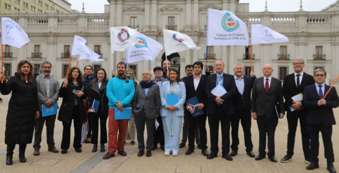 Nueva Organización de Profesionales del Estado de Chile OPECH solicita a Presidente Boric la incorporación a la mesa del sector público